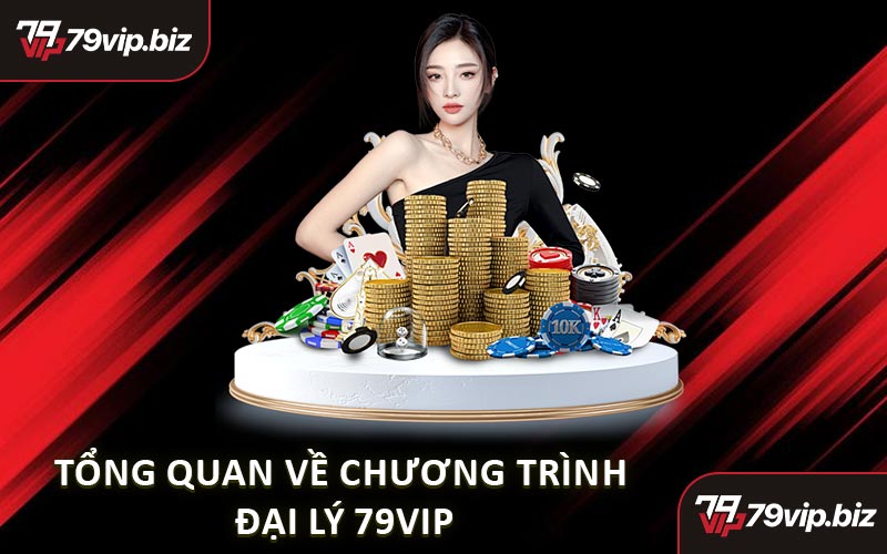 Tổng Quan Về Chương Trình Đại Lý 79VIP