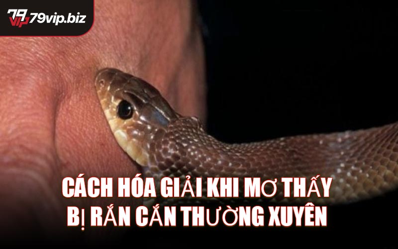 Cách hóa giải khi mơ thấy bị rắn cắn thường xuyên