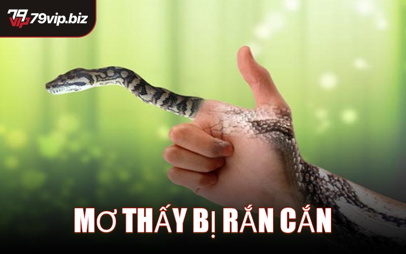 Mơ Thấy Bị Rắn Cắn