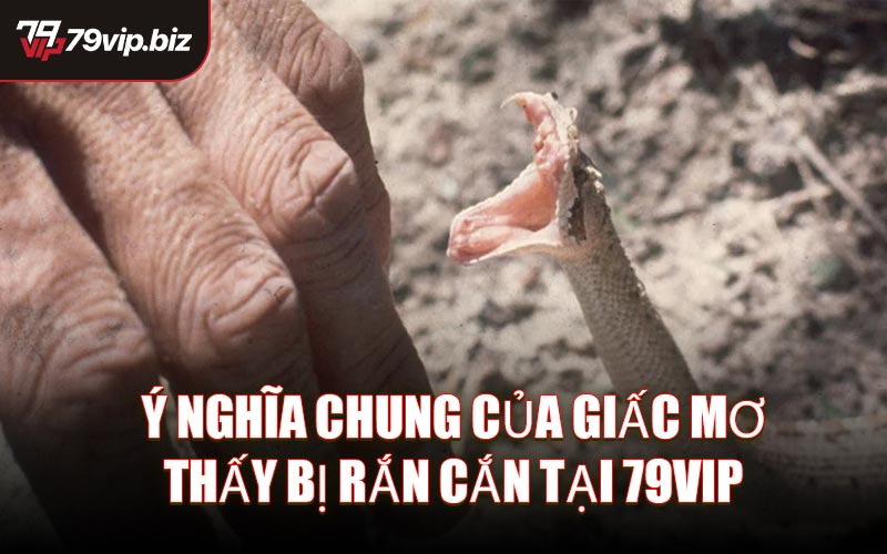 Ý nghĩa chung của giấc mơ thấy bị rắn cắn tại 79VIP